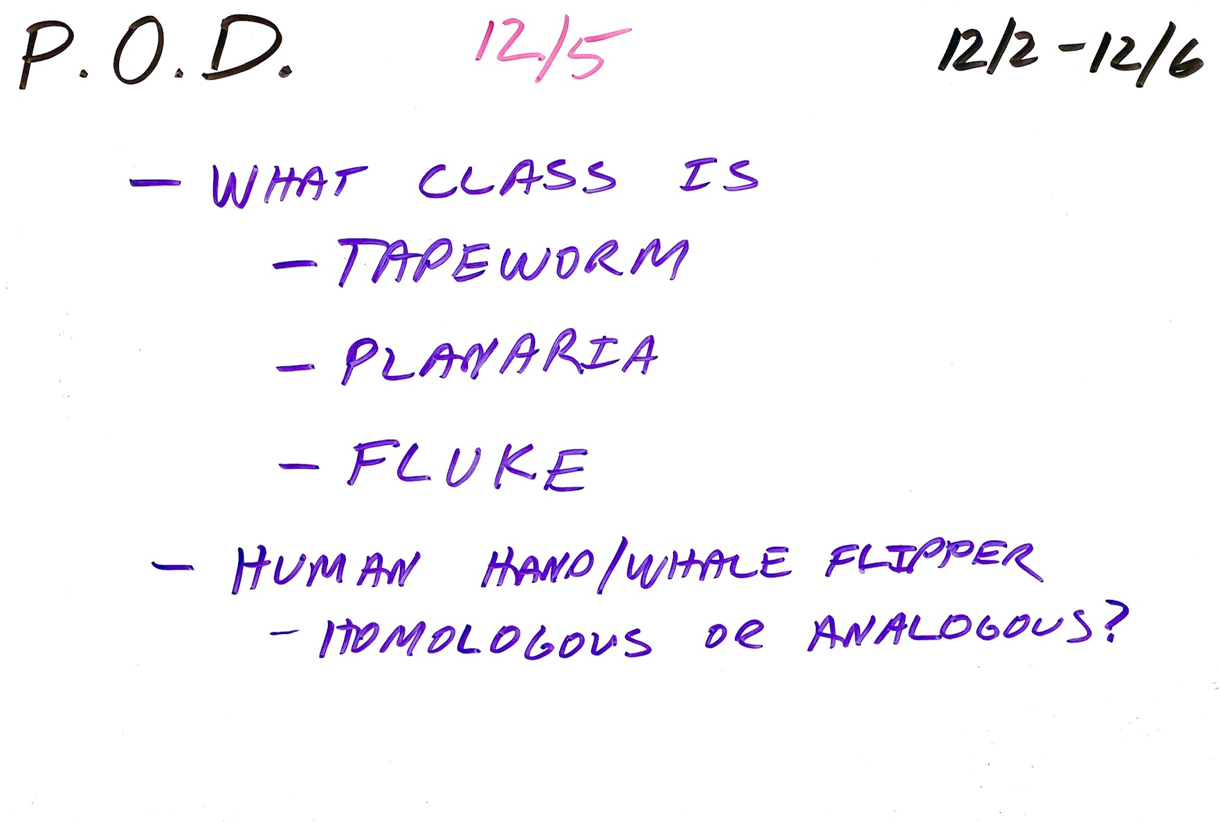 Biochemical Evidence For Evolution Mr Williamson s Biology Class